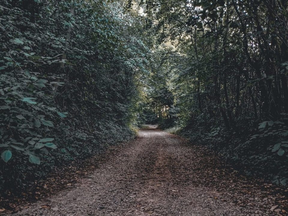 caminos oscuros