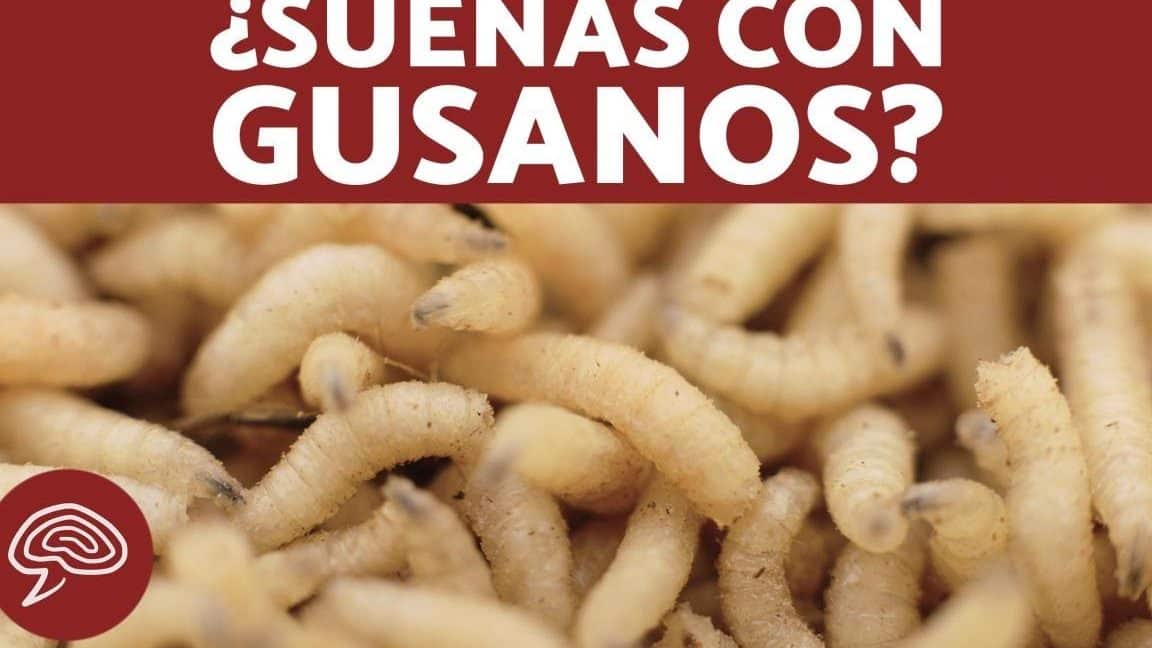 sonar gusanos