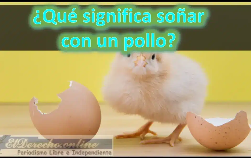 sonar pollo