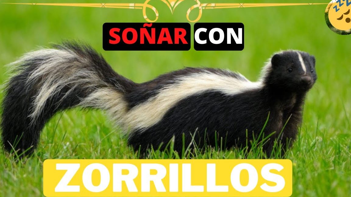 sonar zorrillos