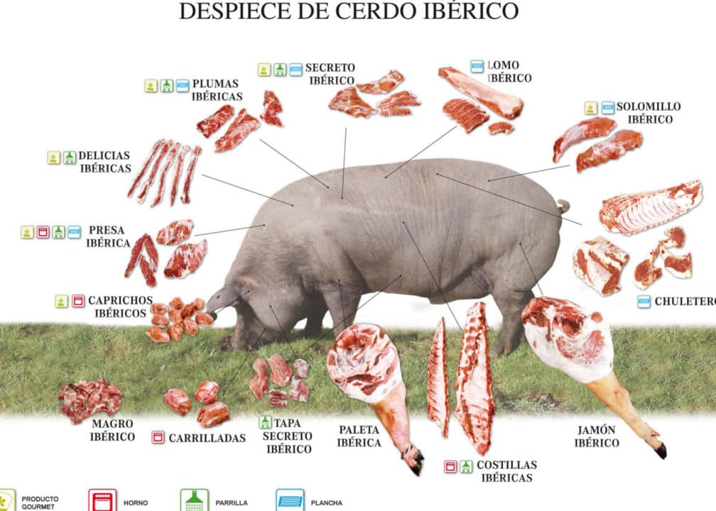 carne cerdo