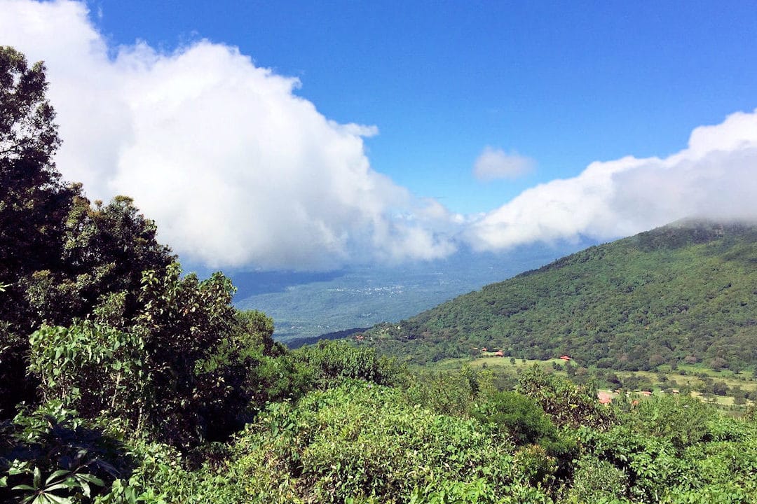 cerros verdes