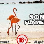 sonar flamingos