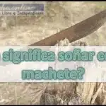 sonar machetes