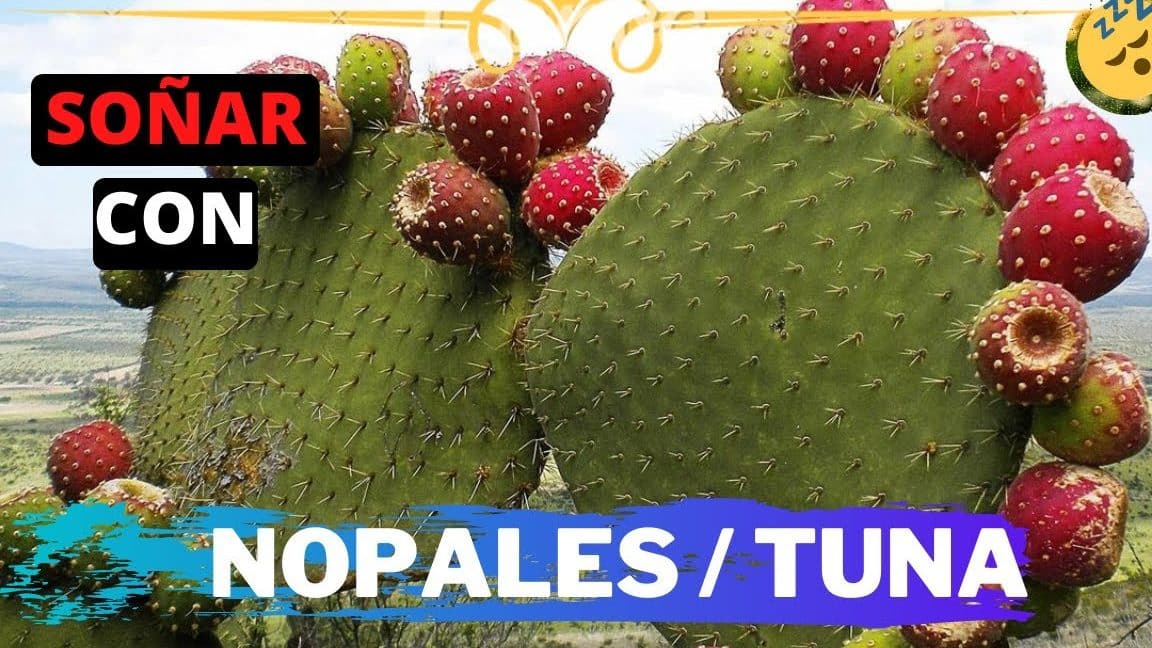 sonar nopales