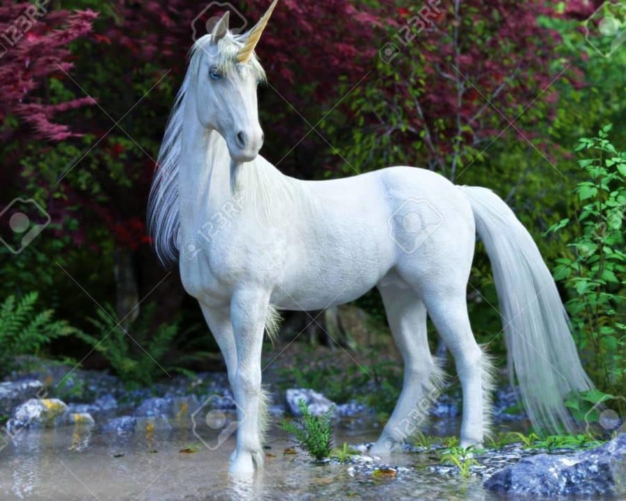 unicornio blanco 1