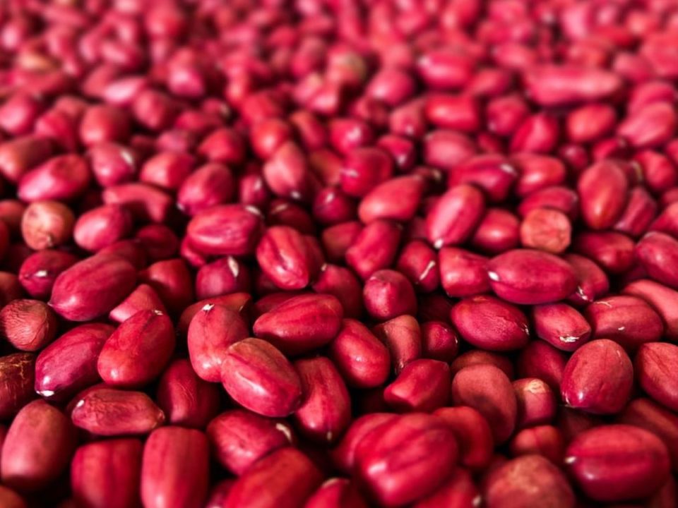 frijoles rojos