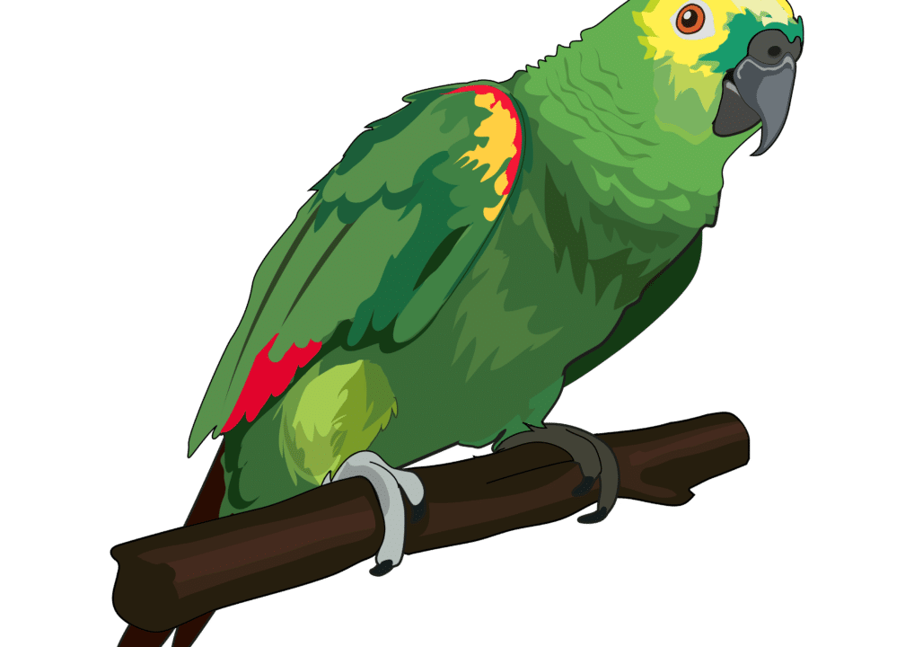 loro verde