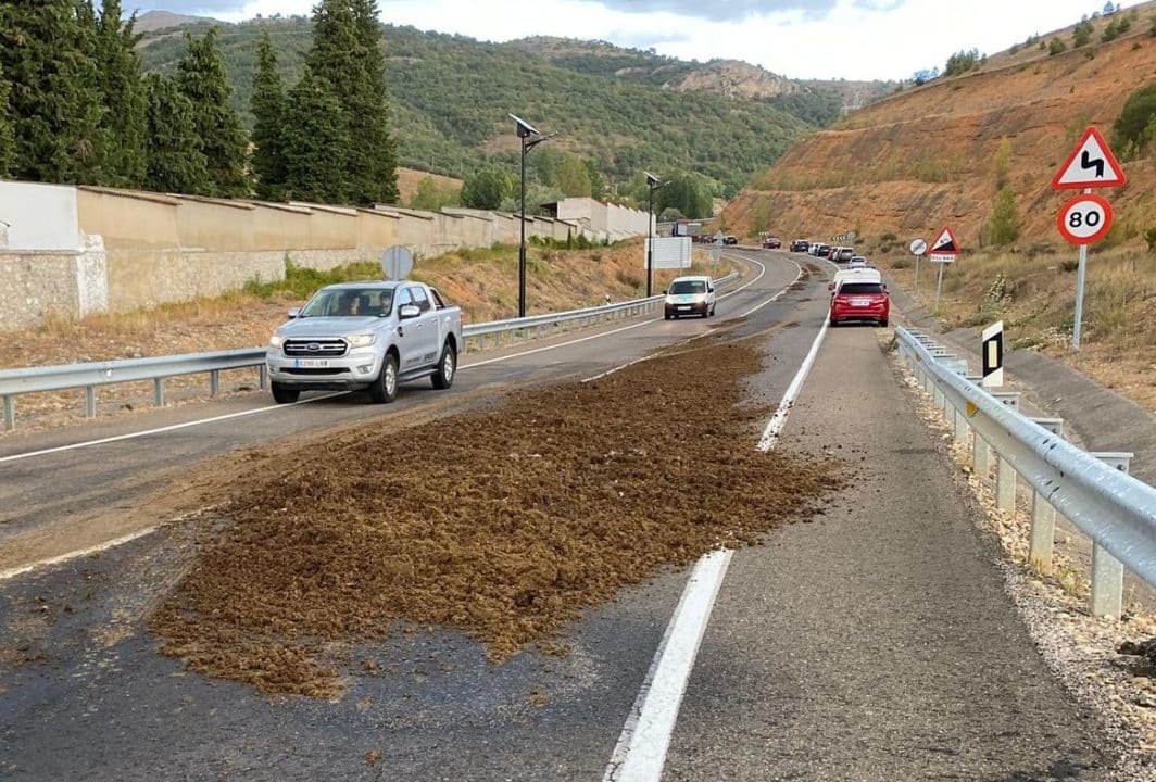 pierdes carretera