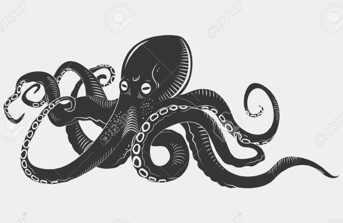 pulpo negro