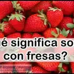 sonar fresas 1