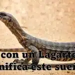 sonar lagarto