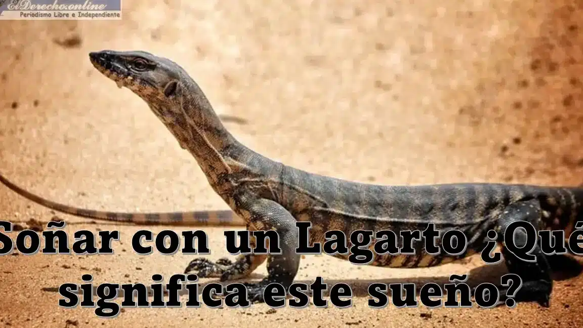 sonar lagarto