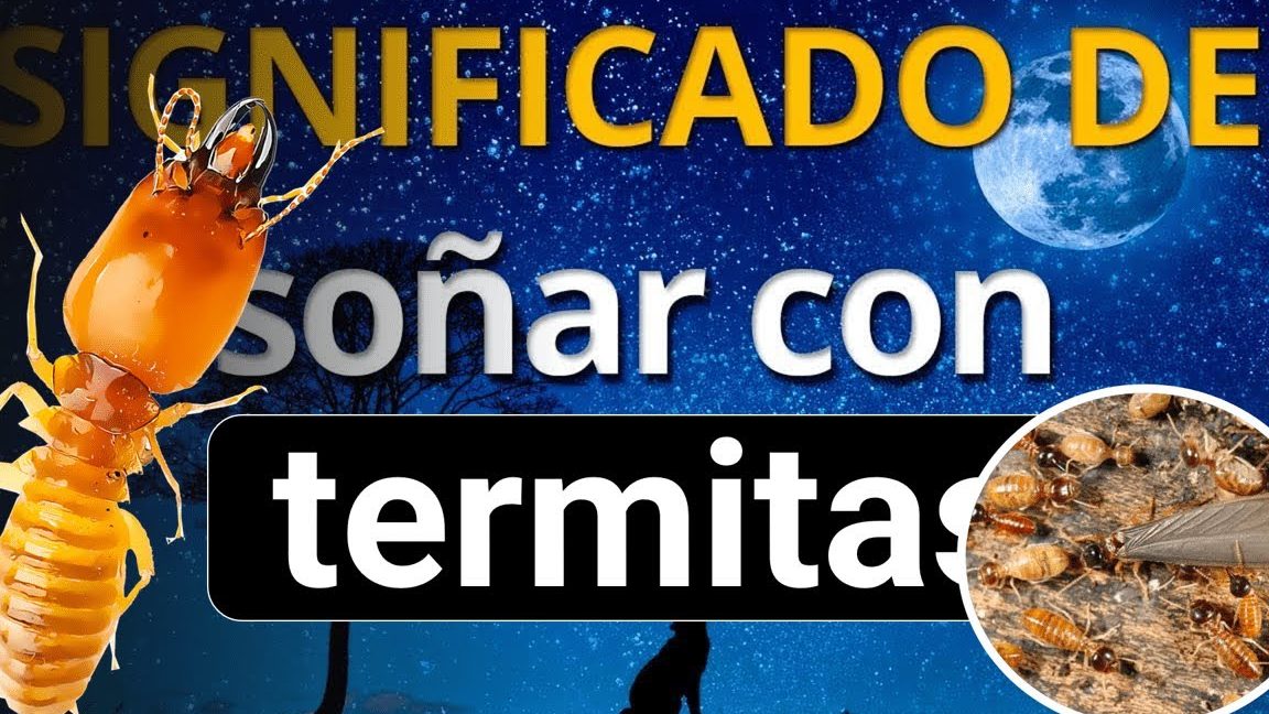 sonar termitas