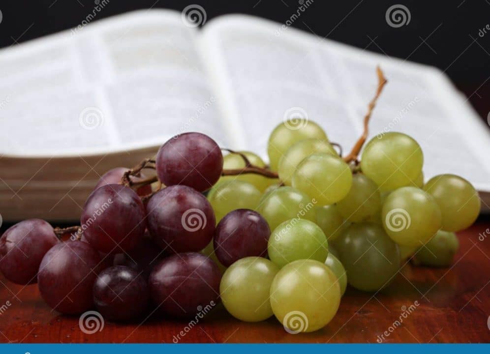uvas biblia