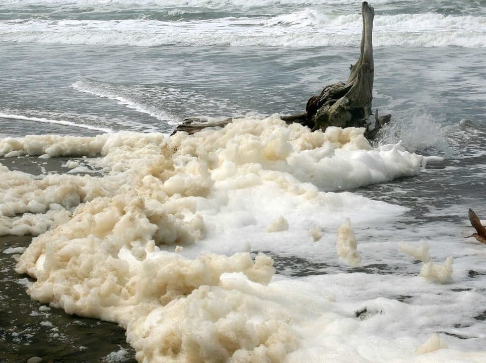 espuma mar 1