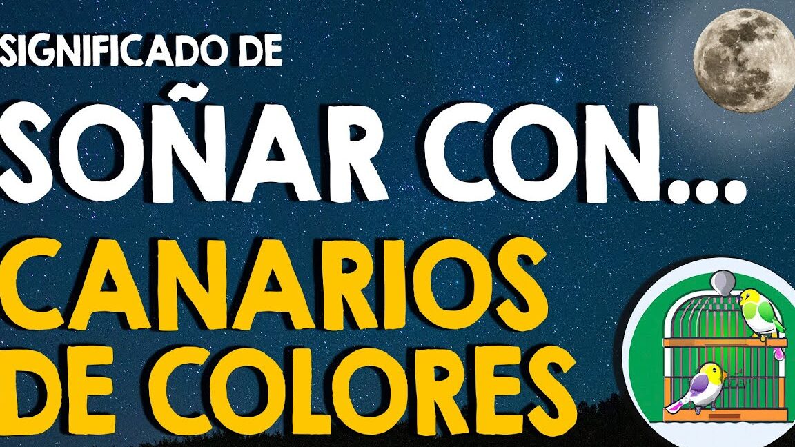 sonar canarios 1